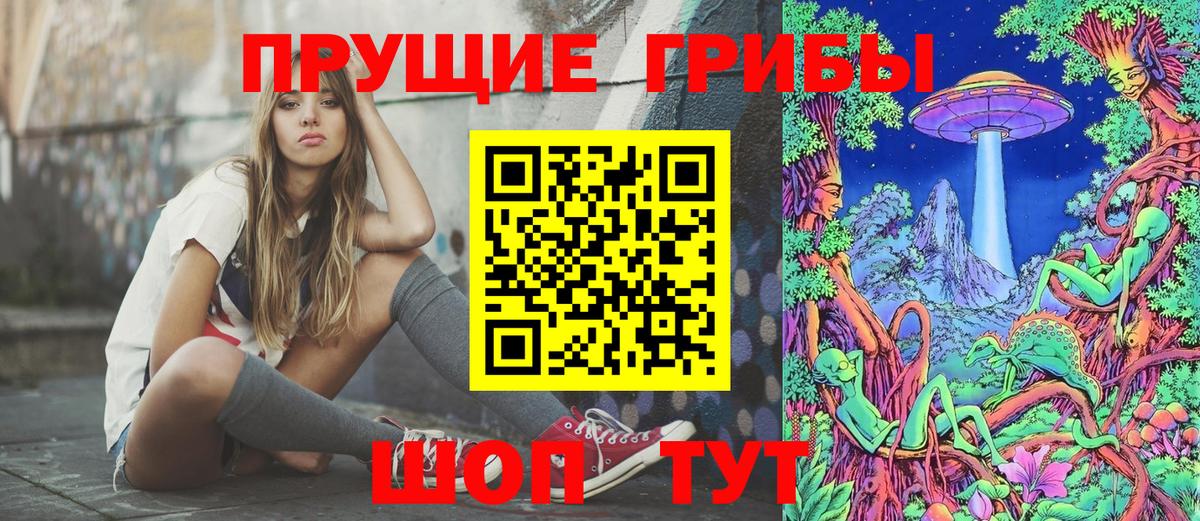 где купить наркоту  Псилоцибиновые грибы ЛСД  Вход с VPN  Строитель 