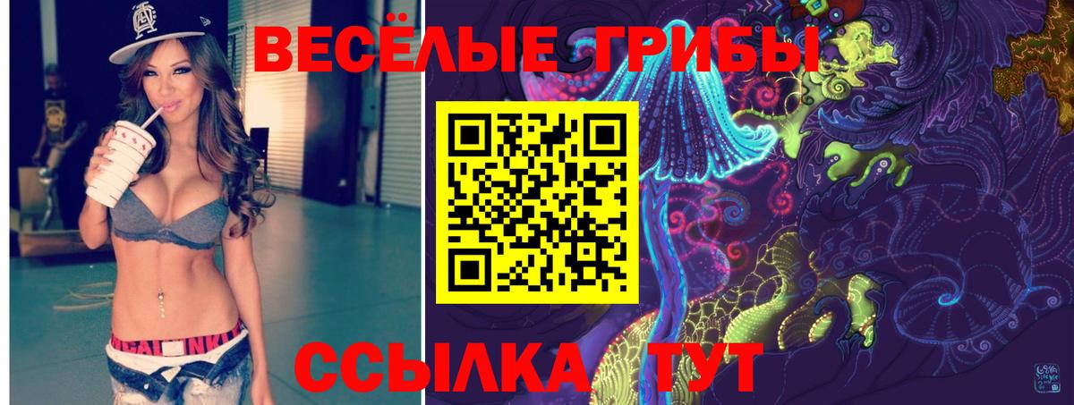 Галлюциногенные грибы Psilocybine cubensis Строитель